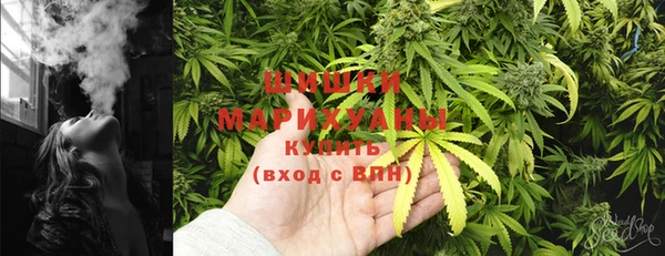 2c-b Вяземский