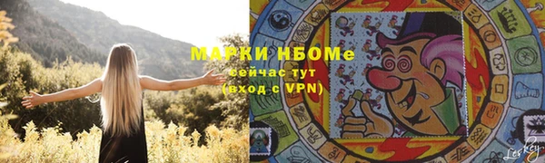 индика Лагань