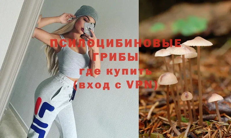 кракен ссылки  сколько стоит  Невельск  Галлюциногенные грибы Cubensis 