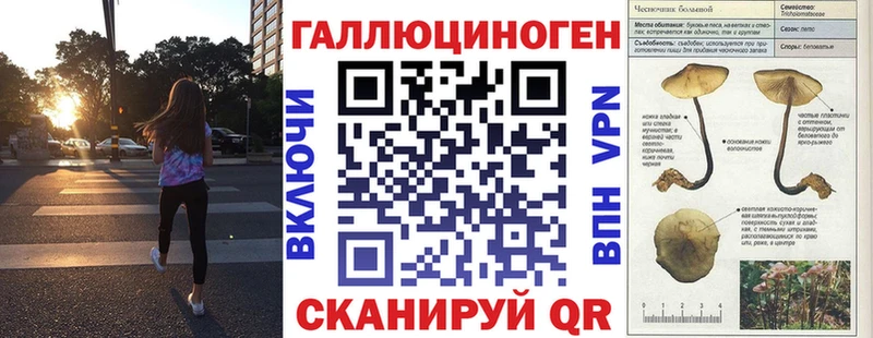 Галлюциногенные грибы MAGIC MUSHROOMS  сколько стоит  Невельск 